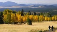 gorgeous fall colors in flagstaff, az for rv travelers