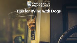 Tips for RVing with Dogs