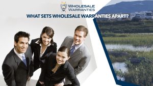 Text: What Sets Wholesale Warranties Apart?