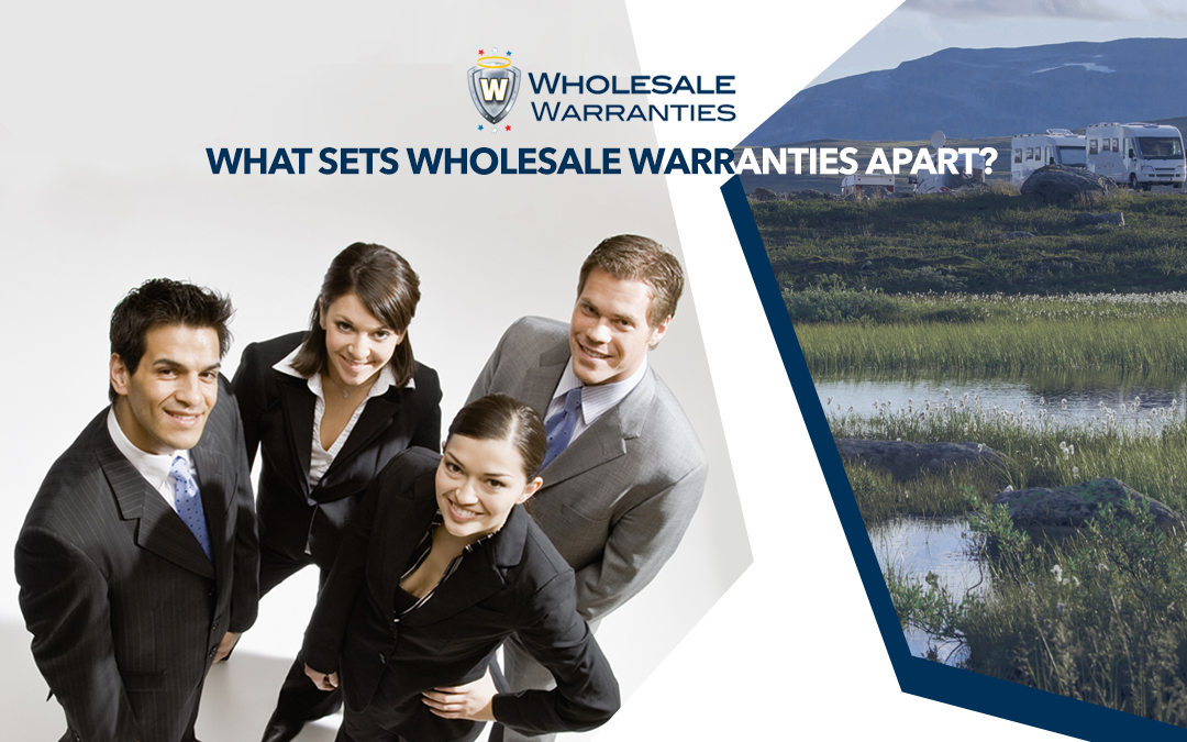 Text: What Sets Wholesale Warranties Apart?