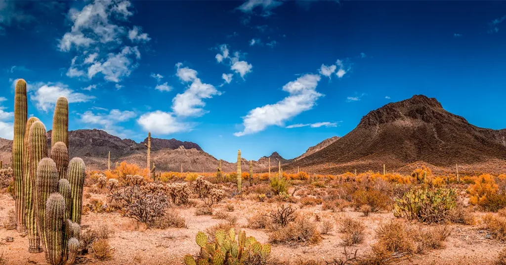 Phoenix Travel Ideas