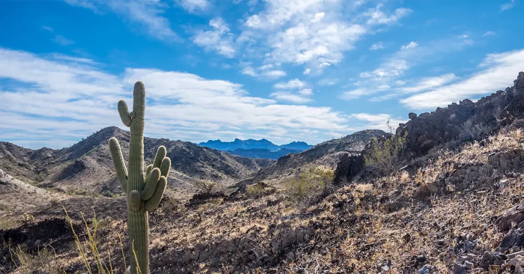 Quartzsite AZ Travel Ideas