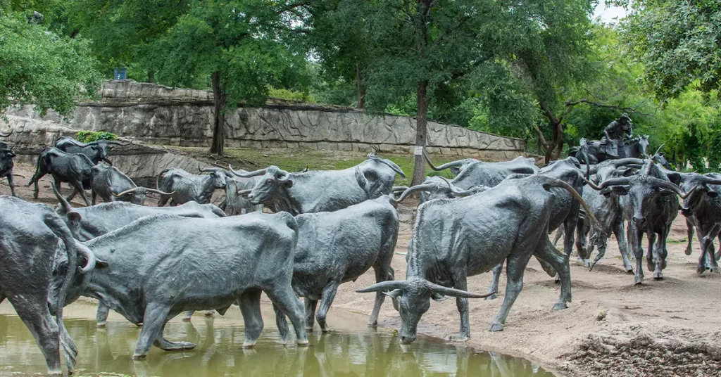 dallas travel ideas