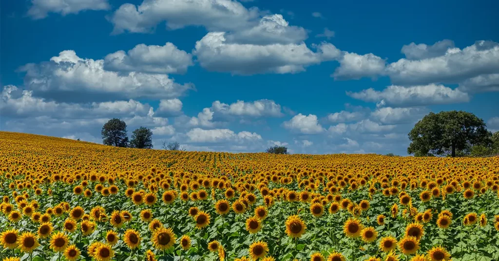 kansas travel ideas