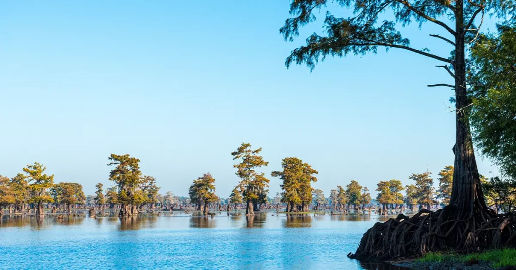 louisiana travel ideas