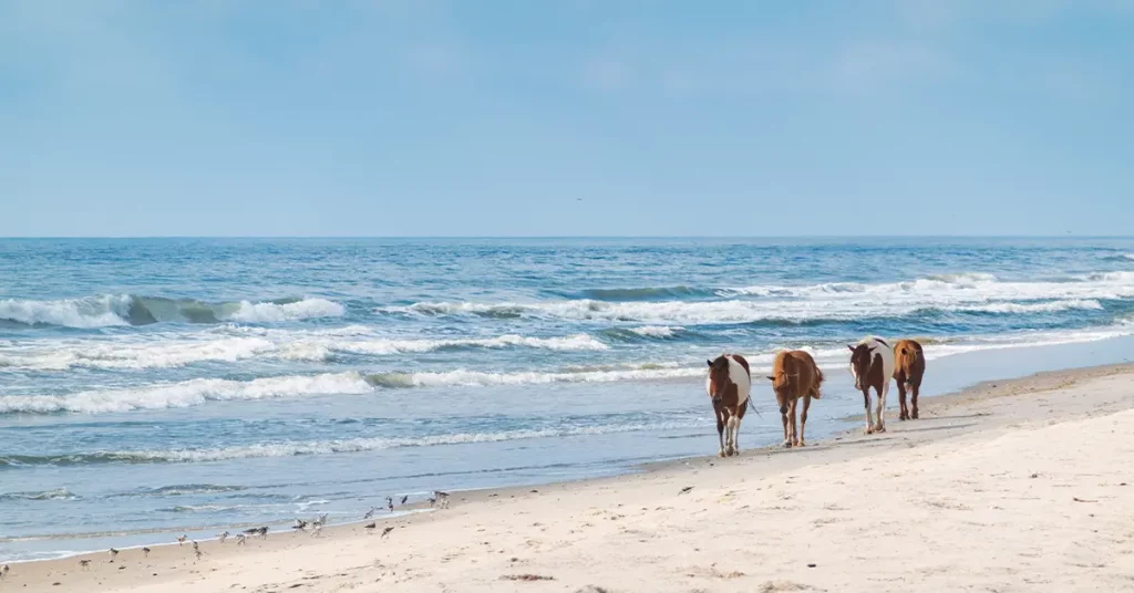 maryland travel ideas