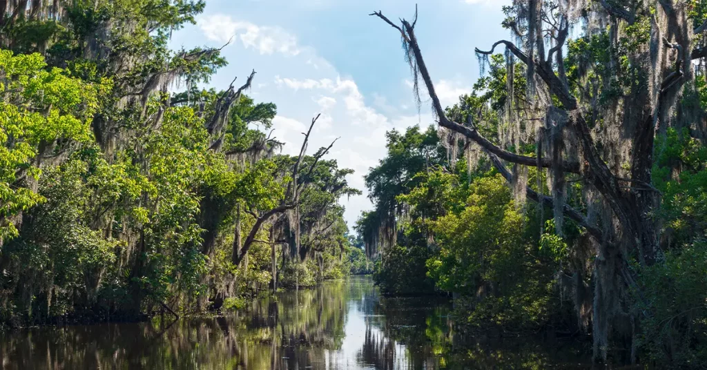 new orleans travel ideas