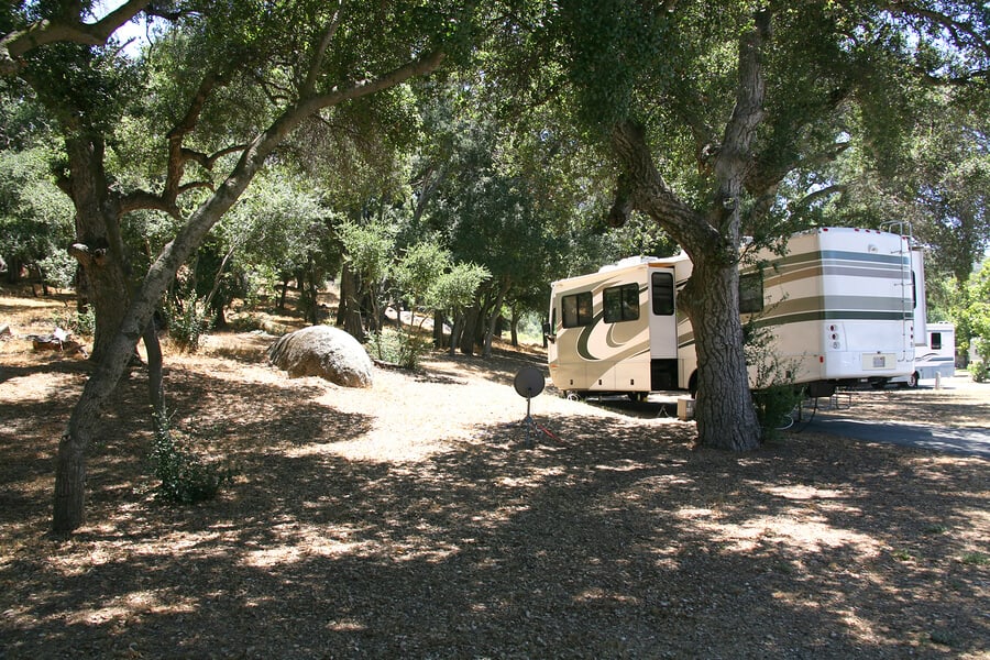 Motorhome Advice RV Forest Camping